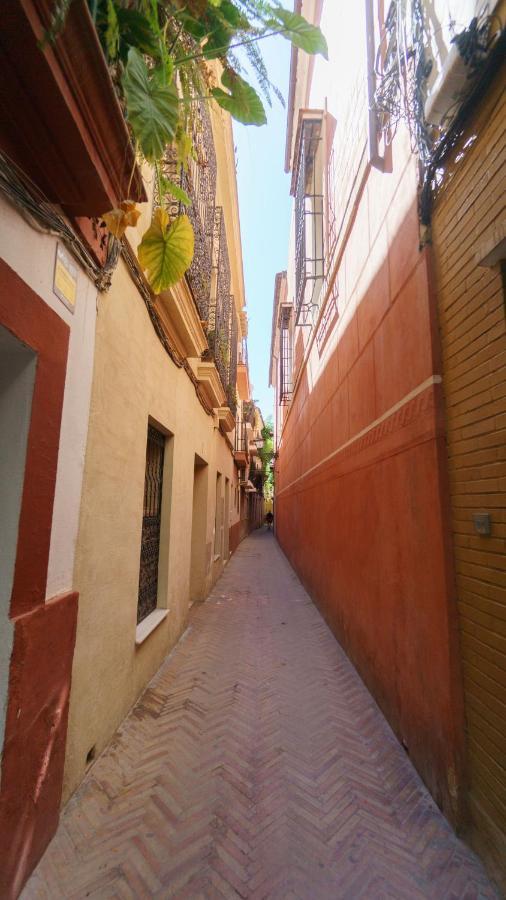 Rentalsevilla Verde Buitenkant foto